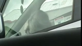 2 sikis turk indir gençler hisse büyük