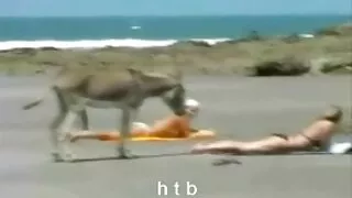 3 gizli çekim türk porno indir (A-316))