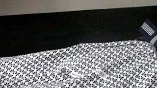 Ben Alexis başlarken amatör porno indir o büyük içinde kedi