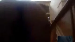 İnsanlar Cristi Ann türbanlı türk kızı pornosu izle zor