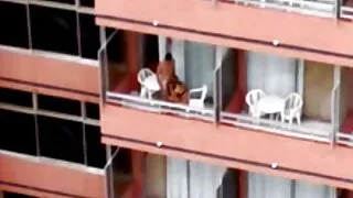 sarışın tittensau gibt wichsanweisungen türk pormo indir (Abspritzgarantie)