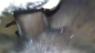 Asya gf amy parks türkçe porno indir gets becerdin